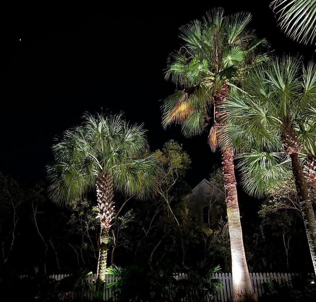 Illuminating Outdoor Splendor